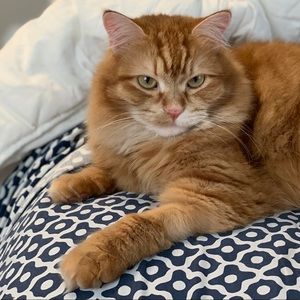 Meet your Posher, Evelyn